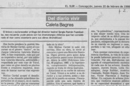 Caleta Bagres