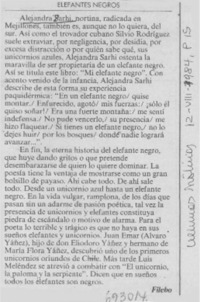 Elefantes negros
