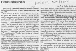 Fichero bibliográfico  [artículo] Carlos René Ibacache.