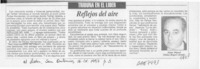 Reflejos del aire  [artículo] Jaime Miguel Gómez Rogers.