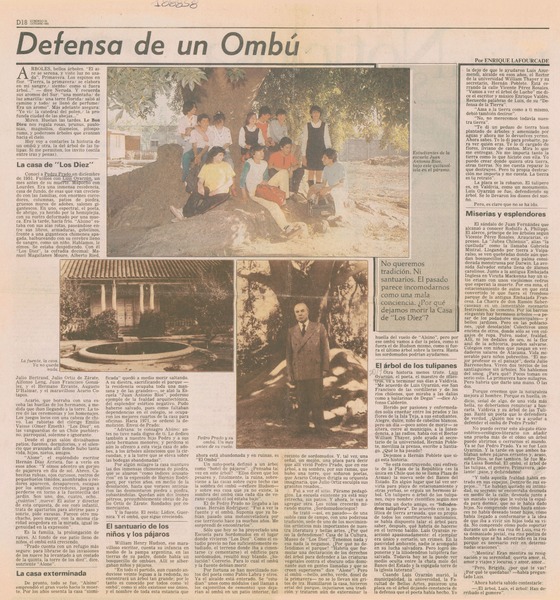 Defensa de un ombú