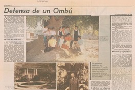 Defensa de un ombú
