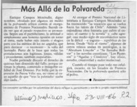 Más allá de la polvareda  [artículo].