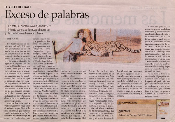 Exceso de palabras