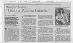 "Odio la palabra catarsis"  [artículo] Francisca Abogabir.