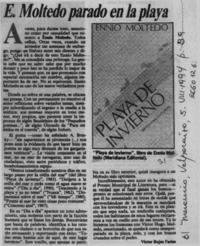 E. Moltedo parado en la playa  [artículo] Víctor Rojas Farías.
