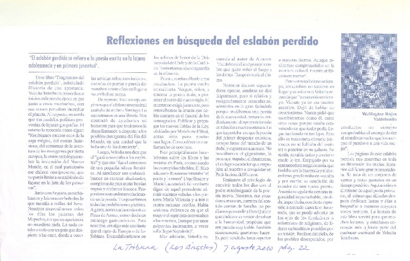 Reflexiones en búsqueda del eslabón perdido