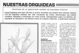 Nuestras orquídeas