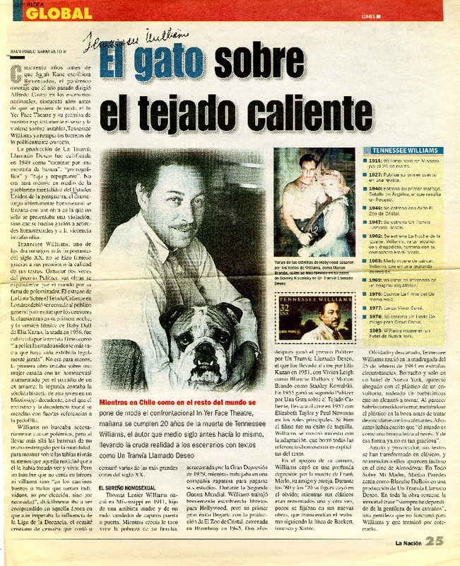 El gato el tejado caliente  [artículo] Juan Pablo Sarmiento P.