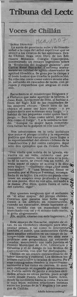 Voces de Chillán