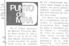 Punto de mira