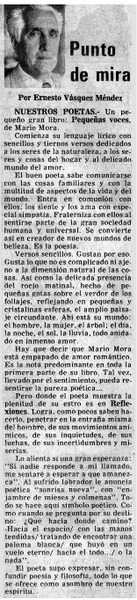 Punto de mira