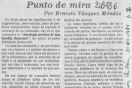 Punto de mira