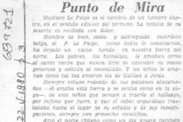 Punto de mira