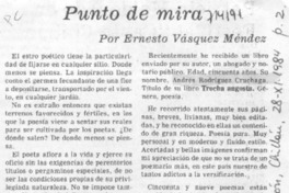 Punto de mira