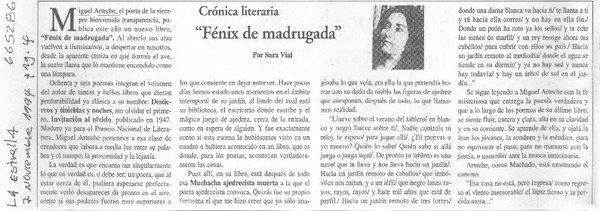 Fénix de madrugada"