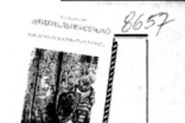 Mil y una batallas contra los dragones  [artículo] V. M. O.