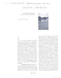 Jardín japonés