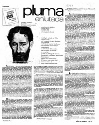 Pluma enlutada.