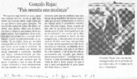 Gonzalo Rojas: "País necesita una mudanza"