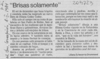 "Brisas solamente"