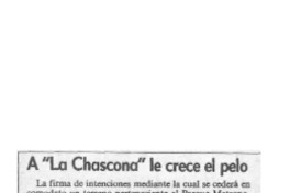 A "La Chascona" le crece el pelo  [artículo].