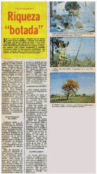 Riqueza "botada".