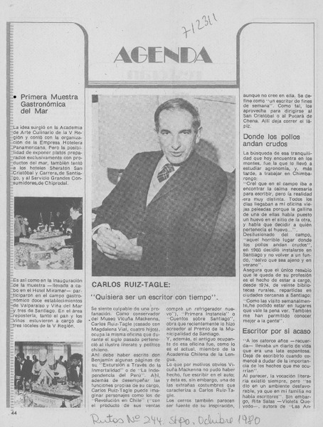 Carlos Ruiz Tagle: "Quisiera ser un escritor con tiempo".