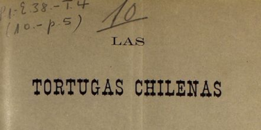 Las tortugas chilenas