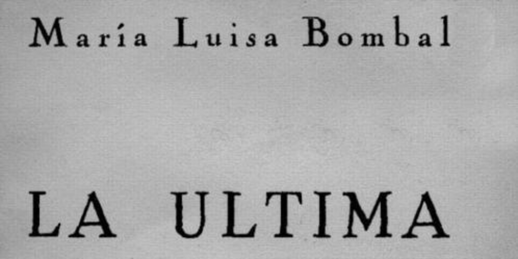 La última niebla : novela