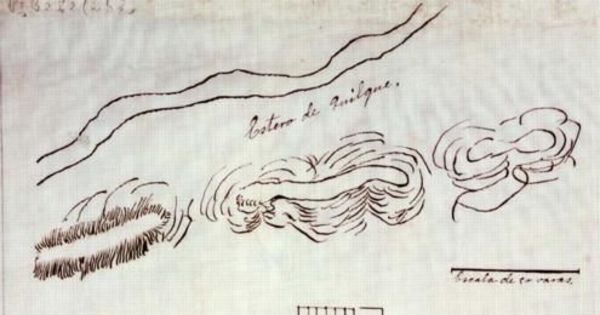Plano del campamento de Lonquilmo en el que celebra parlamento entre Ambrosio O'Higgins y losaraucanos