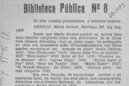 Amasijo.  [artículo]