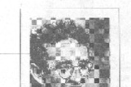 2666 obtiene premio en España