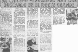 Al chileno verdadero hay que buscarlo en el norte grande