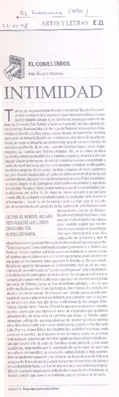 Intimidad  [artículo] Alvaro Bisama.