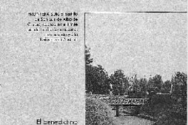 Las murallas del reino