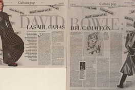 David, las mil caras  [artículo] Camila Ortiz Miranda.