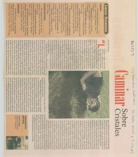 Caminar sobre cristales