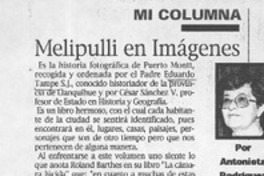 Melipulli en imágenes  [artículo] Antonieta Rodríguez París