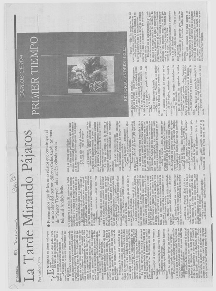 La tarde mirando pájaros.