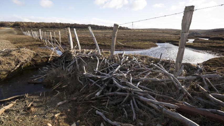 Imagen del monumento Valle del río Chico