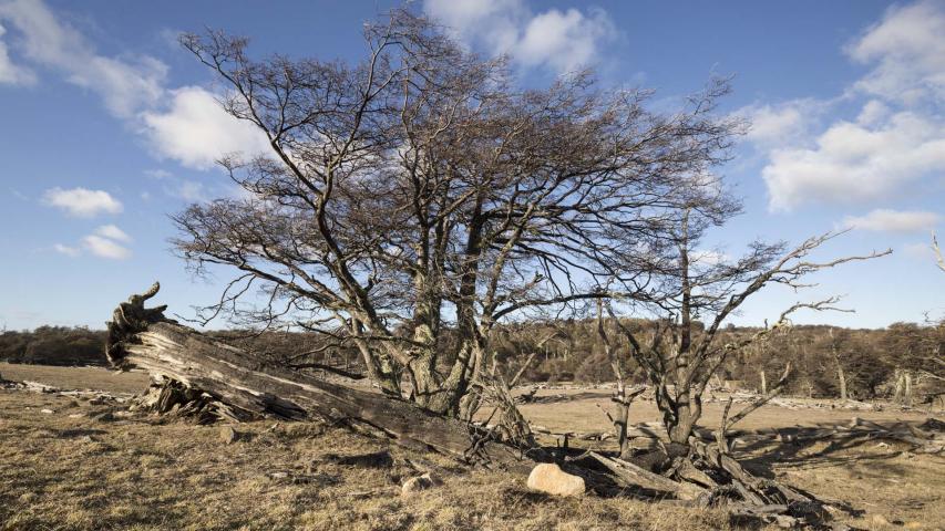 Imagen del monumento Valle del río Chico