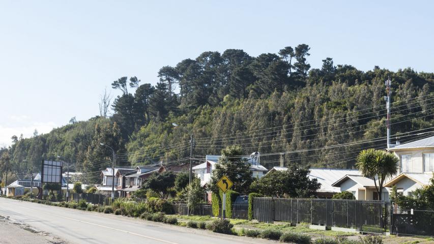 Imagen del monumento Cerro Colo Colo