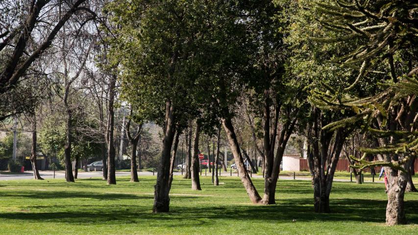 Imagen del monumento Parque Municipal
