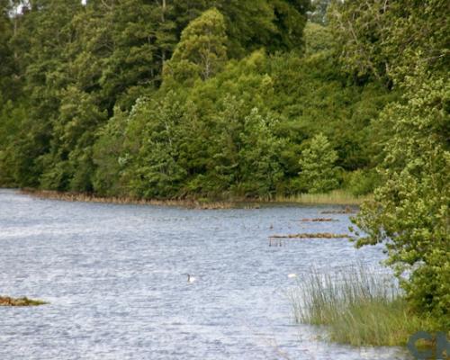 Imagen del monumento Zona húmeda de los alrededores de la ciudad de Valdivia