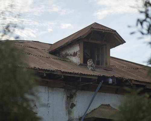 Imagen del monumento Casona El Tabo