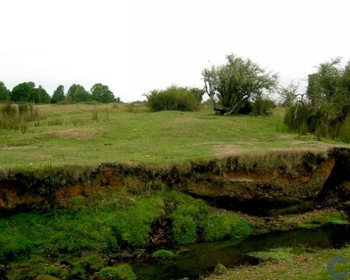 Imagen del monumento Sector predio Monte Verde