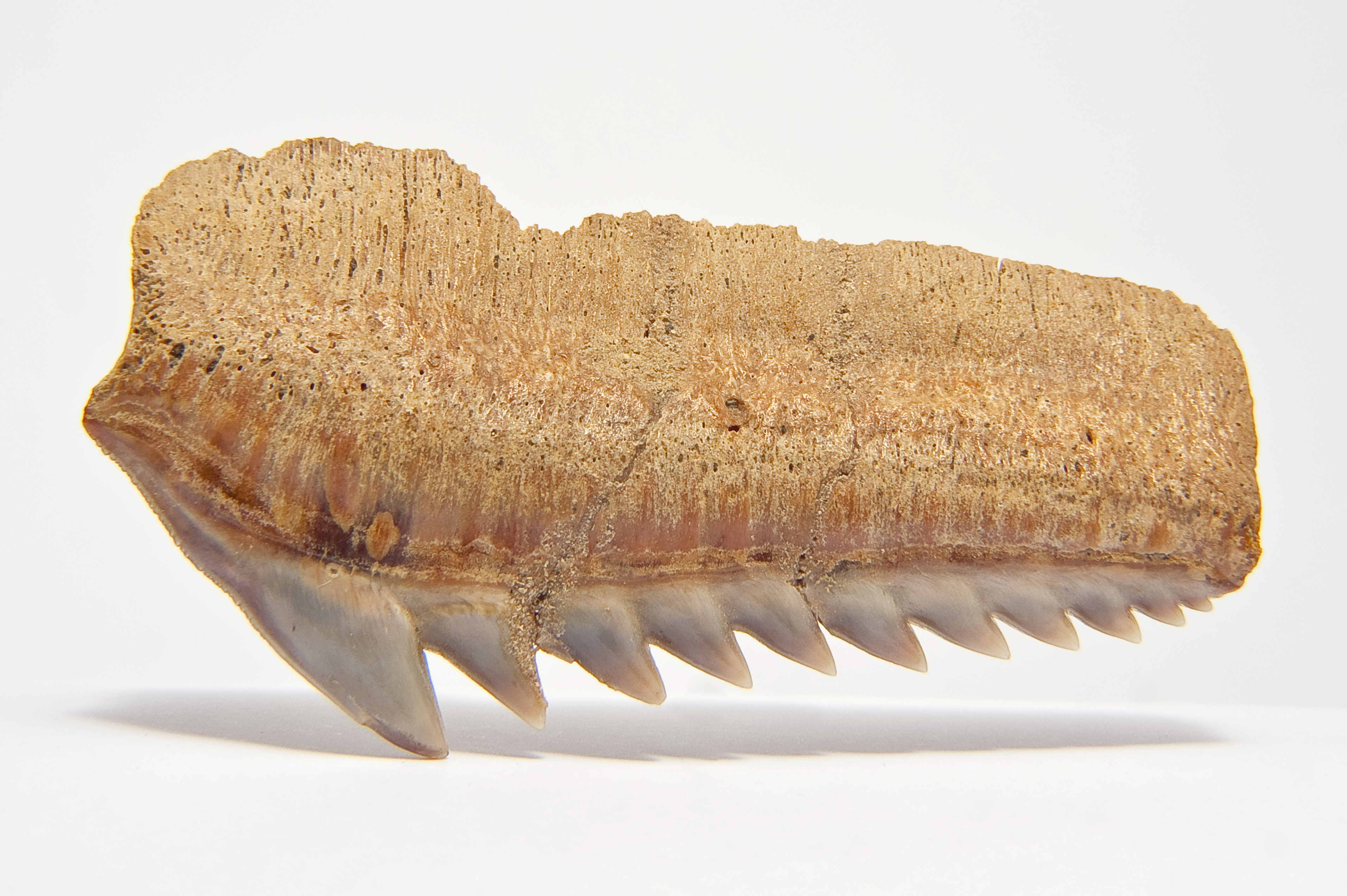 Imagen de Patrimonio Natural