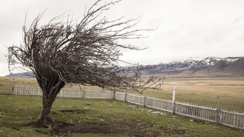 Imagen del monumento Cementerio de Cerro Castillo