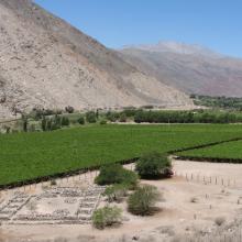 Imagen del monumento Palacio incaico de La Puerta